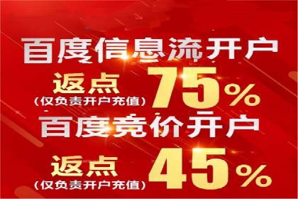 SEO百度推广策略：成功案例解析